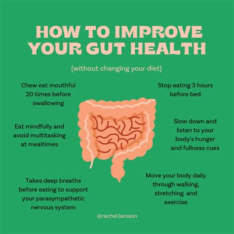Optimize Your Gut Health .